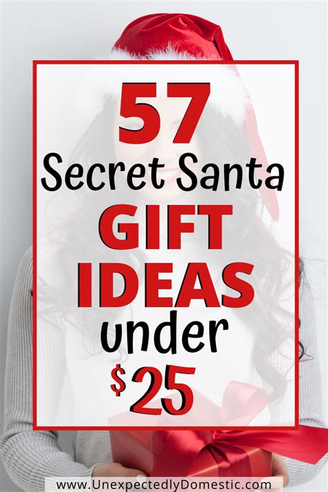 best secret santa gifts under $25